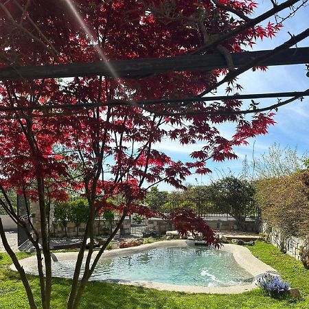 Domus Parva - Villa Con Bio-Piscina, Spa Privata E Appartamenti Panoramici Bacoli Esterno foto